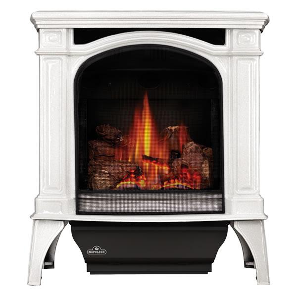 Napoleon GDS25 Bayfield Natural Gas Direct Vent Gas Stove