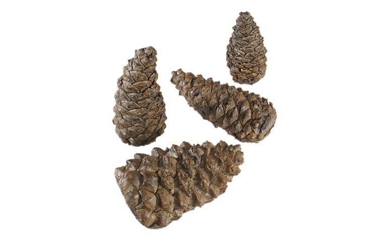 Assorted Ceramic Designer Pine Cones